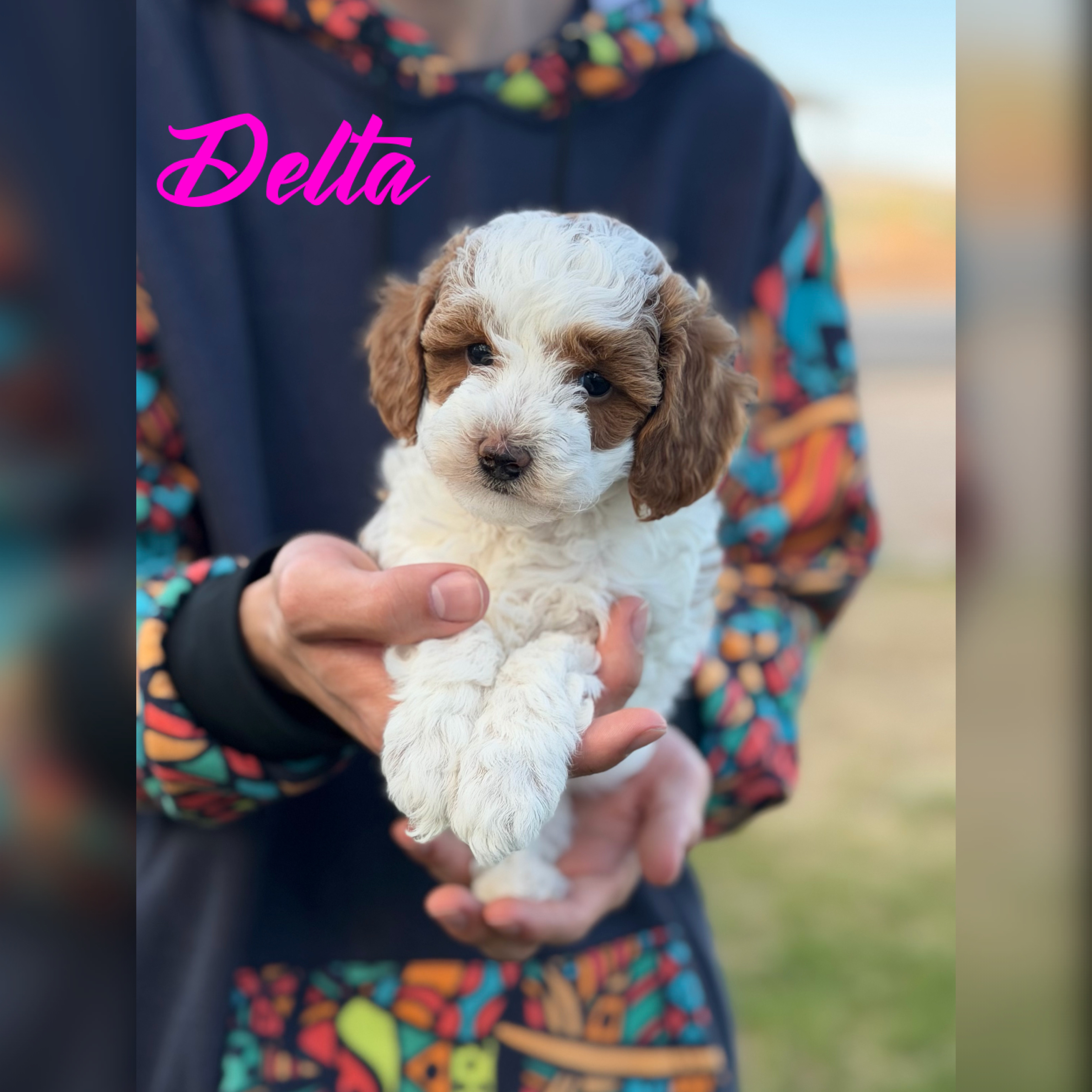 Delta - RESERVED